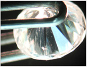 Gem Identification Course
